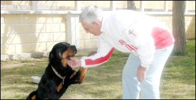 Eski İl Emniyet Müdürü Natık CANCA hayatını kaybetti