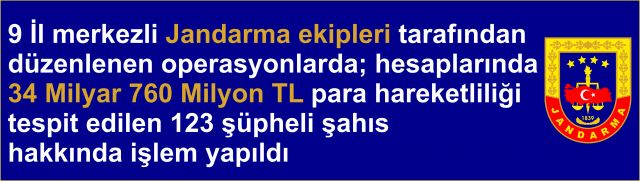 Siber Jandarma ekiplerinden 9 il merkezli dev operasyon